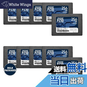 �y���������zPatriot P210 Parent Solid State Drive SSD �F�F�u���b�N�A�T�C�Y�F256GB 10 Pack Bulk Packaging