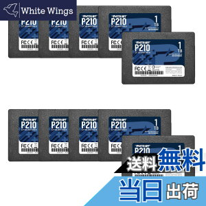 �y���������zPatriot P210 Parent Solid State Drive SSD �F�F�u���b�N�A�T�C�Y�F1TB 10 Pack Retail Packaging