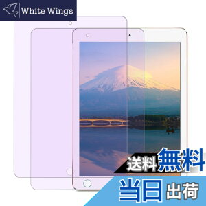 �y���������z�y�u���[���C�g�J�b�g�ziPad mini4/5 �K���X�t�B���� �F�F�u���[���C�g�A�T�C�Y�F9.7 LG-2