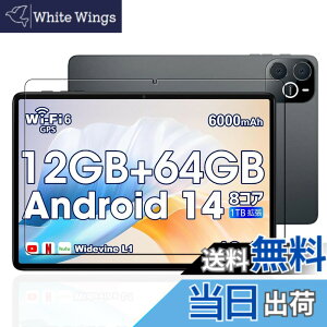 �y���������zKEY2 �t�B���� �F�F�����ł��A�T�C�Y�FLZ1-bh25�y1���zFor Wpawa HT10-A