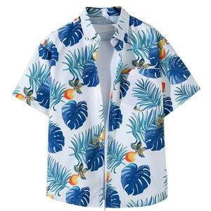 �y���������z[Limspace] �A���n�V���c �����Y ���f�B�[�X �r�[�`�V���c �ԕ��V���c �� ���� �n���C�� ������� ���� �u�₩ �傫���T�C�Y ������� �ʋC �y�� �ĕ� ���s ���O�� �F�FH�A�T�C�Y�F2