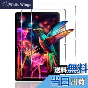 �y���������z�y2���Z�b�g�z �p Galaxy Tab S10 FE �K���X�t�B���� �t�B���� 10.9�C���` 2�� �y ���{���Ɏq�f�� 9H���x �z �Ή� �M�����N�V�[ Tab S10 FE �ی�t�B���� �����K���X �����ߗ� 3D Touch�Ή� ��