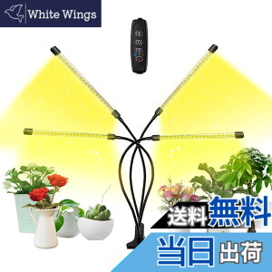 �y���������zbseah�����A���p�������C�g�A�S���X�y�N�g��LED�������C�g �F�F�u���b�N�A�T�C�Y�F�l�[1pcs