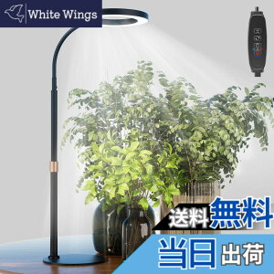 �y���������zbseah�����A���p�������C�g�A�S���X�y�N�g��LED�������C�g �F�F�u���b�N�A�T�C�Y�F��^-��