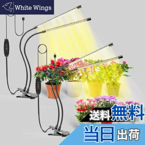 �y���������zbseah�����A���p�������C�g�A�S���X�y�N�g��LED�������C�g �F�F�u���b�N�A�T�C�Y�F���[2pcs