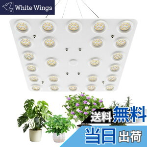 �y���������zbseah�����A���������A�S�X�y�N�g�������������A3��ނ̃��[�h��10���̒��� �T�C�Y�F�ʎq��100W