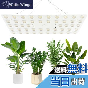 �y���������zbseah�����A���������A�S�X�y�N�g�������������A3��ނ̃��[�h��10���̒��� �T�C�Y�F�ʎq��240W