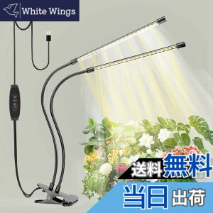 �y���������zbseah�����A���������A�S�X�y�N�g�������������A3��ނ̃��[�h��10���̒��� �T�C�Y�F���[1pcs