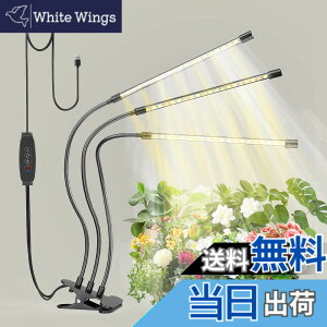 �y���������zbseah�����A���������A�S�X�y�N�g�������������A3��ނ̃��[�h��10���̒��� �T�C�Y�F�O�[1pcs