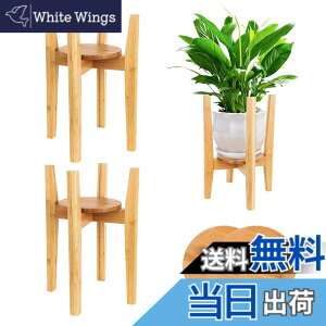 �y���������z�t�����[�X�^���h ���X�^���h �g���C�t�� ��30cm�܂Œ��� �� �|�� �W���O�X�^���h �ԑ� �A�ؑ� �^�񒆐��I �ԃ|�b�g�z���_ �F�F�i�`�������A�T�C�Y�F2 ����