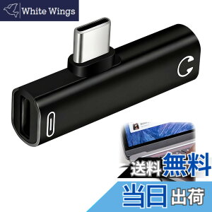 �y���������z�C���z�� �^�C�vC �ϊ� 3.5mm �ϊ� �^�C�vC �u���b�N 2in1 PD100W�}���[�d & Hi-Fi DAC���� 3.5mm�C���z���W���b�N �R���p�N�g �ʘb/���y/���ʒ��ߑΉ� Android/TypeC�[�q �ϊ��A�_�v�^