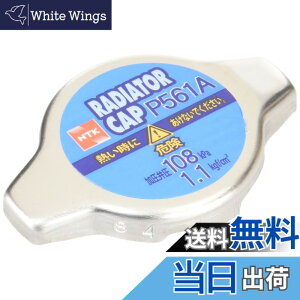 �y���������z���{���ꓩ��(NGK) ���W�G�[�^�[�L���b�v�V���[�Y �F�F�V���o�[�A�T�C�Y�F108kPa[1.1kg/cm2]