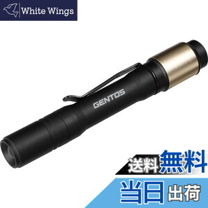 �y���������zGENTOS(�W�F���g�X) �����d�� LED���C�g �[�d�� 200~900���[���� ���N�V�[�h RX-285R/RX-286R/RX-304R/RX-386R/RX-486PB �F�F�u���b�N