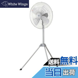 �y���������z�L�d(KODEN)�A���~�H���H�Ɛ� �F�F���C�g�O���C�A�T�C�Y�F�O�r�^