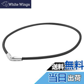 【送料無料】ファイテン(phiten) ネックレス RAKUWAネックX50 Vタイプ 色：シルバー、サイズ：50cm