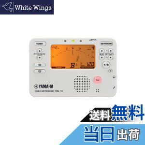�y���������zYAMAHA TDM-710 �F�F�A�C�{���[