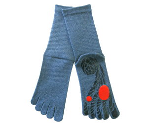 �y���������z[�K�b�c�}��] �S���t�̂��߂̊���Ȃ��ܖ{�w�\�b�N�X(25-27cm) �S���t�p �i���p ����~�� �ܖ{�w�C�� �X�|�[�c �g���[�j���O �O���b�v ���񒣂� �M�t�g �v���[���g �F�F�f�j���A