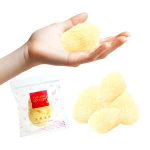 �y���������z�y6����z�C�� �����p�i �X�|���W �Ɩ��p �V�R�C�� � �W�b�v���b�N �T�j�^���[ �z�� ��� �t�@���f�[�V���� �f���P�[�g�]�[�� �F�F�C�G���[