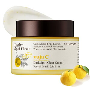 yzSKINFOOD(XLt[h) 䂸C_[NX|bgNAN[ ێ ؍RX