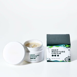 yzWAKANTOiJgj JgێN[