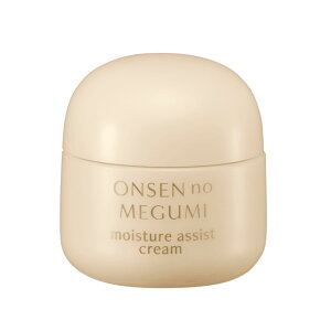 yzCIϕi `[~OXe[W 40g TCYF40O (x 1)