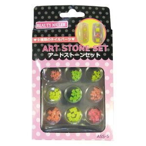 �y���������zBEAUTY NAILER �A�[�g�X�g�[���Z�b�g ASS-1 �F�FASS-5