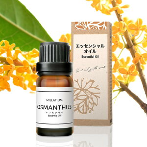 �y���������zMILLATIUM �J�[�f�B�t���[�U�[ �� �F���� �\�[���[�쓮 MLT20 �G�b�Z���V�����I�C�� �A���}�I�C�� �F�F�ؐ��A�T�C�Y�F10ml