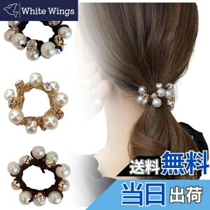 �y���������zFASELE �w�A�S�� ���S�� �V���V�� �ׂ� �z�n �p�[���t�� �w�A�A�N�Z�T���[ �V���v�� �T�e�� �X�K�[�� �G���K���g ��i�� ������ ���� ���e�� ������� ���� �ʋ� �v���[���g ����