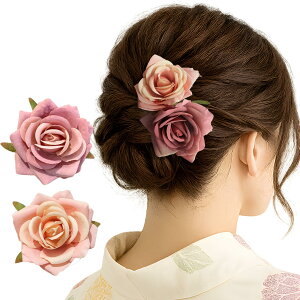 �y���������zGFun ������ �w�A�A�N�Z�T���[ �� �N���b�v 2�Z�b�g ���� �ԉΑ�� ������ �a�� ���l�� ���Ǝ� ������ ���\�� �m�� �F�F���[�Y�s���N×�x�r�[�s���N