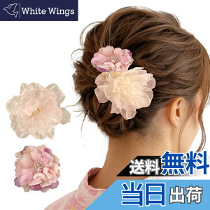 �y���������zGFun ������ �w�A�A�N�Z�T���[ �� �N���b�v 2�Z�b�g ���� �ԉΑ�� ������ �a�� ���l�� ���Ǝ� ������ ���\�� �m�� �c�o�L �F�F�s���N