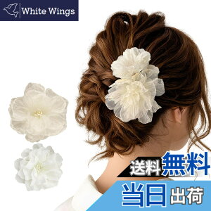 �y���������zGFun ������ �w�A�A�N�Z�T���[ �� �N���b�v 2�Z�b�g ���� �ԉΑ�� ������ �a�� ���l�� ���Ǝ� ������ ���\�� �m�� �c�o�L �F�F�z���C�g