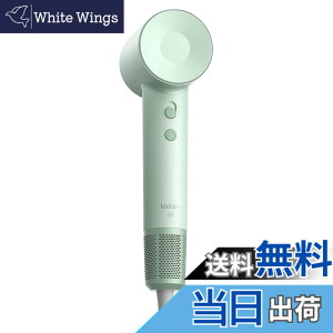 �y���������zLaifen ���C�t�F�� �h���C���[ SE �啗�� ���� �w�A�h���C���[ �É��݌v ���Z�x2���}�C�i�X�C�I�� 105,000 ��]/�� 21m/s �����E�╗ 8���[�h �ߔM�h�~ �y�ʃR���p�N�g �����^�ѕ֗� ��