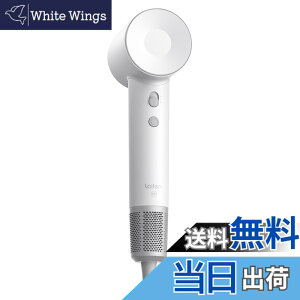 �y���������zLaifen ���C�t�F�� �h���C���[ SE �啗�� ���� �w�A�h���C���[ �É��݌v ���Z�x2���}�C�i�X�C�I�� 105,000 ��]/�� 21m/s �����E�╗ 8���[�h �ߔM�h�~ �y�ʃR���p�N�g �����^�ѕ֗� ��