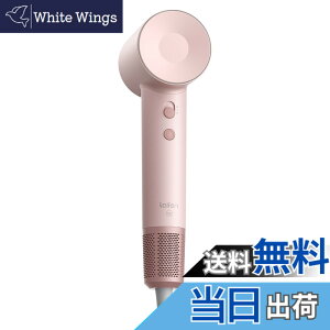 �y���������zLaifen ���C�t�F�� �h���C���[ SE �啗�� ���� �w�A�h���C���[ �É��݌v ���Z�x2���}�C�i�X�C�I�� 105,000 ��]/�� 21m/s �����E�╗ 8���[�h �ߔM�h�~ �y�ʃR���p�N�g �����^�ѕ֗� ��