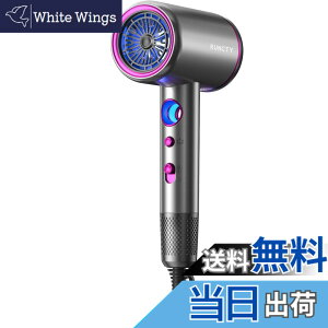 �y���������zRUNCTY �h���C���[ �啗�� �w�A�h���C���[ ���� �y�V�݌v 2�����Z�x�}�C�i�X�C�I���z 1400W �����h���C���[ �������P �Ód�C���� �y�� �R���p�N�g �l�C ���e�Ɠd �w�A�P�A ���� ��