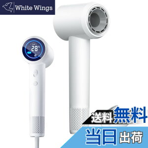 �y���������zRUNCTY �h���C���[ �啗�ʁy�ƊETOP�E�����Ńu���V���X�E10���}�C�i�X�C�I���z�����w�A�h���C���[ ���� ���Z�x�C�I�� �Ód�C�}�� �P���w�A�P�A ���╗�����ؑ� LED�t����� 3�i�K