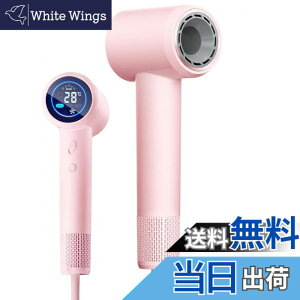 �y���������zRUNCTY �h���C���[ �啗�ʁy�ƊETOP�E�����Ńu���V���X�E10���}�C�i�X�C�I���z�����w�A�h���C���[ ���� ���Z�x�C�I�� �Ód�C�}�� �P���w�A�P�A ���╗�����ؑ� LED�t����� 3�i�K