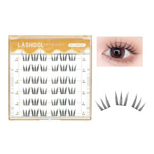 �y���������zLASHIDOL �������܂� �̂�s�v �����s�^�܂� �����p ���܂� �̂�t�� �����܂� ���� �ڒ��ܕt���t���܂� �m��������Ȃ����܂� �Z�O�����g�����ꂽ���Ȑڒ�