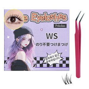 �y���������zPokolan WS ���܂� �̂�s�v ������ �������܂� �̂�s�v �i�`���������� ���܂� ���� ���܂� ���� 1�b�}�c�G�N �����p 36������ �l�C ���� ���R �ڐK �ڒ��ܕt