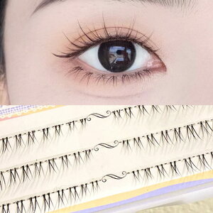 �y���������z���܂� �����p �i�`������ �������܂� ���܂� ���� ���K�i ���S�҂ł��ȒP �؍��̐l�C �F�F�u���b�N