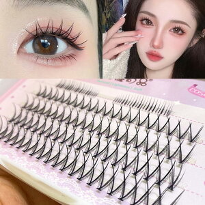 �y���������z���܂� �����p �i�`������ �������܂� ���܂� ���� ���K�i ���S�҂ł��ȒP �؍��̐l�C