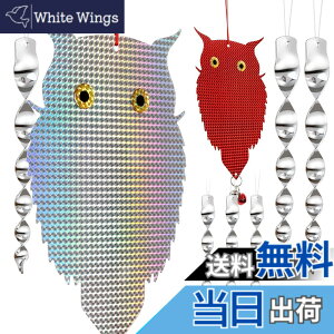 �y���������zOFFO ������ ���悯 �t�N���E ���悯2��+��F���悯�_6�{�Z�b�g ���悯�O�b�Y ���������Ȃ� �L���L�����đ��z�����������˂��܂� �݂艺���� �傫�߃T�C�Y �J���X�悯 �t���Q