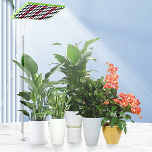 【送料無料】JCBritw 100W 植物育成ライトスタンド付き 自立式 フロア LED植物ライト背の高い植物用 室内栽培 苗木栽培 顕花植物栽培向け水耕栽培ランプ 野菜工場 植物栽培工場 温室/園芸に適