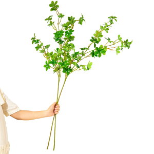 yzWillingYou hE_ccW tFCN H110cm ϗtA tFCNO[ 2{