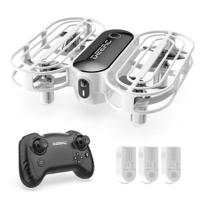 yzh[ 100g Holyton gCh[  q \sv SیvyK[h obe[3 s24 S  蓊s Ԃ ] [h1/2