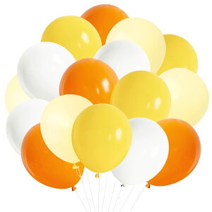 yzBTZO o[ D  50 10C` Eh X^_[hJ[ SD IW CG[ zCg t a  p[eB[ Ղ  4FA\[g