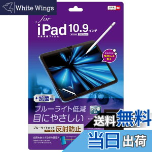 �y���������ziPad 11�C���` ��11���� 2025 / iPad 10.9�C���` ��10���� 2022 �p �t���ی�t�B���� ���˖h�~ �u���[���C�g�J�b�g �C�A���X���H Z0496