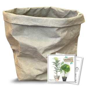 yzlapset Jo[ ϗtA  k  VRf U[ Ntg 5 O[ MTCY