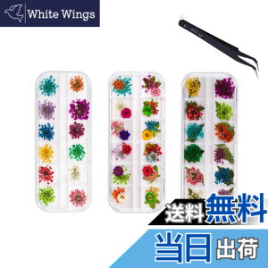 �y���������zYFFSFDC �l�C�������ԃh���C�t�����[ �l�C���A�[�g ���W���p ���[�X 3D�l�C�� ���W�� 3�P�[�X�Z�b�g
