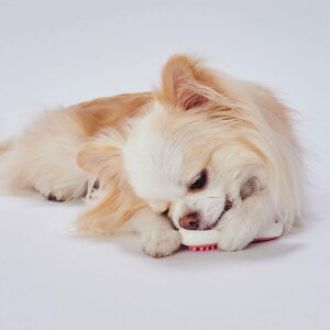 【送料無料】ペティオ (Petio) 犬用おもちゃ かんでるボーンデンタル Sハード 完熟いちごフレーバー